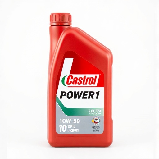 Castrol POWER1 4T 10W-30 Synthetic Bike Oil (1L)